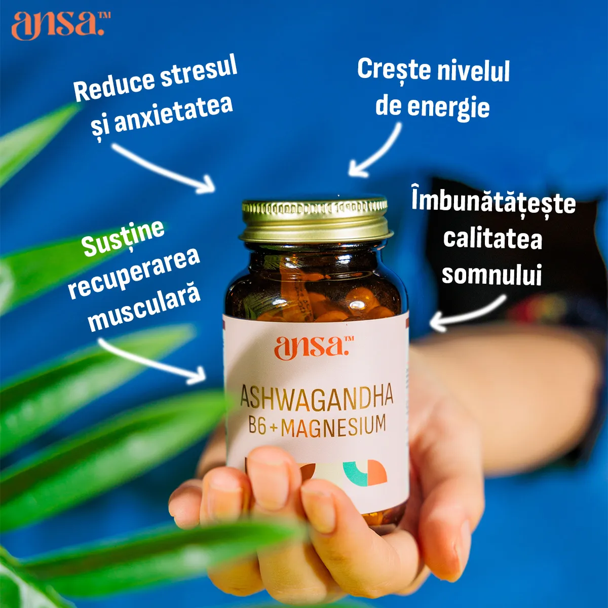 ansa™ – Ashwagandha, Magnesium, B6 - Image 2