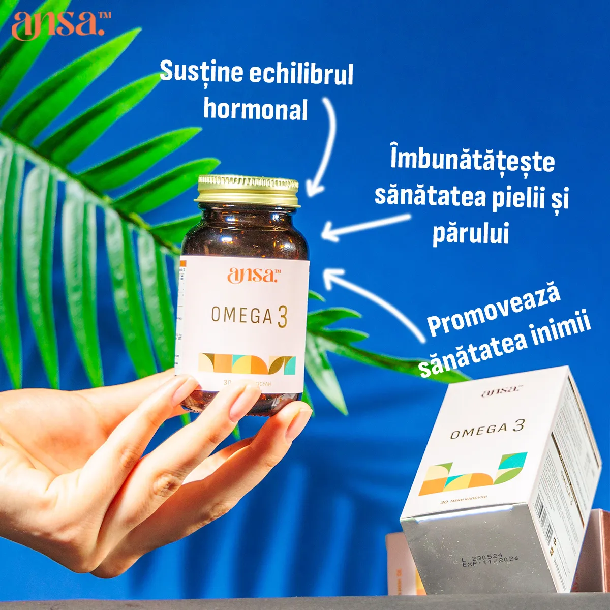 ansa™ – Omega 3 - Image 4