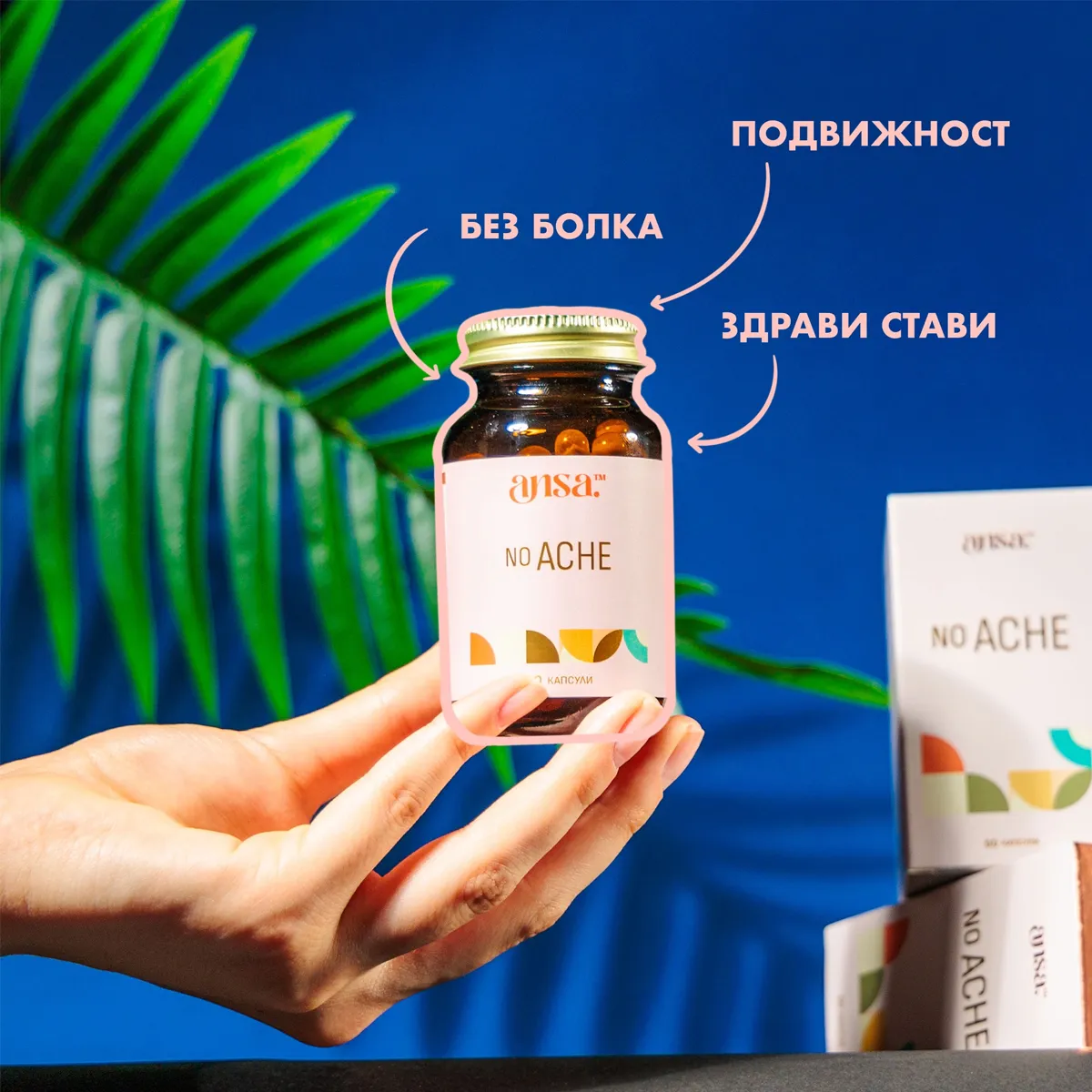 ansa™ - No Ache - Image 2