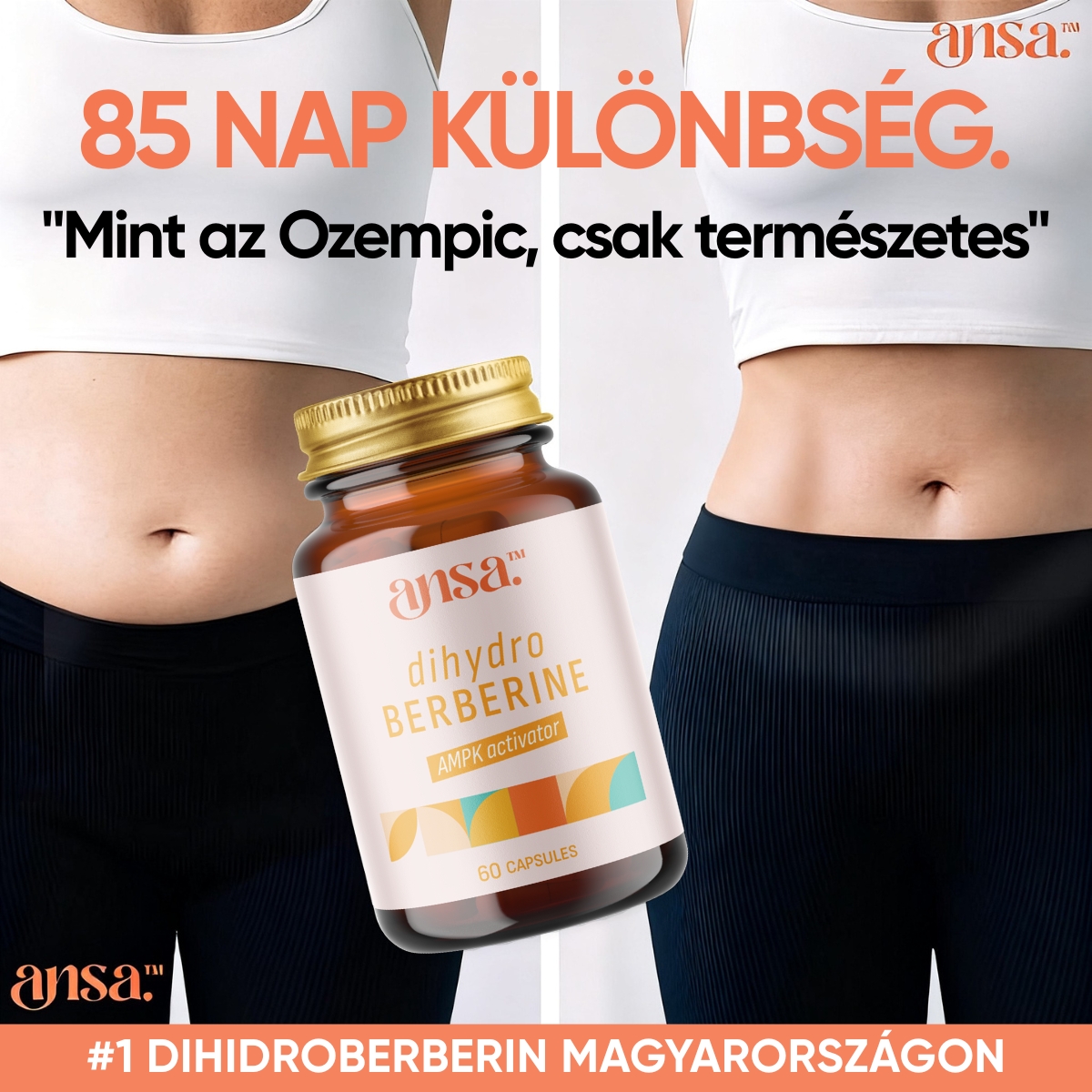ansa™ Dihidroberberin – AMPK-aktivátor a zsírégetés és a vércukor-egyensúly támogatására - Image 2